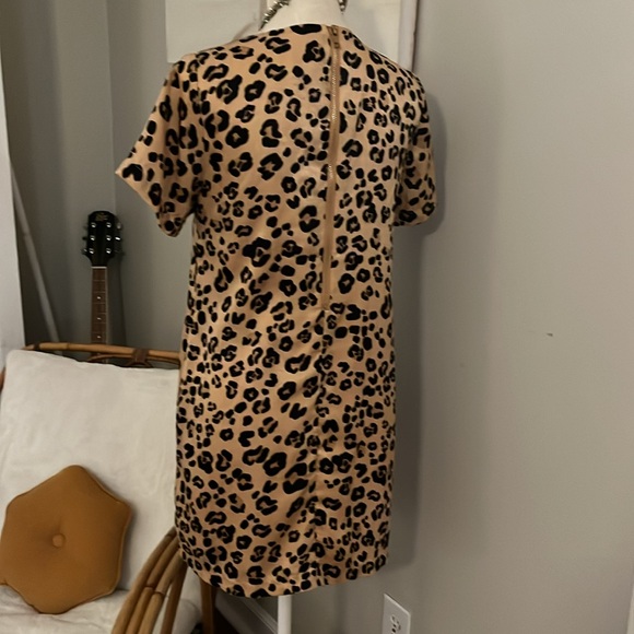 Karlie leopard print very silky dress - Picture 5 of 11